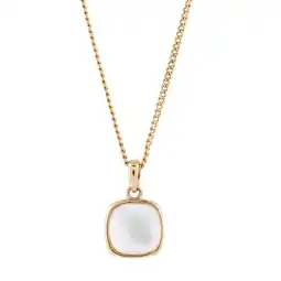 Netto Marken-Discount Buckley London Anhänger mit Kette vergoldet mit Perlmutt-Doublette Angebot