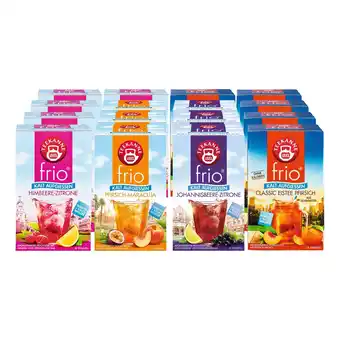 Netto Marken-Discount Teekanne frio Kalttee sortiert - 45 g, 16er Pack Angebot
