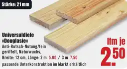 B1 Discount Baumarkt Universaldiele Douglasie Angebot