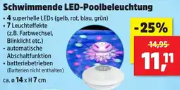 Thomas Philipps Schwimmende LED-Poolbeleuchtung Angebot