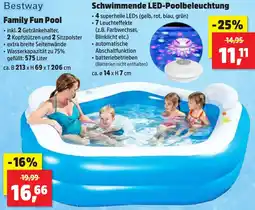 Thomas Philipps Bestway Family Fun Pool Angebot