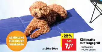 Thomas Philipps Kühlmatte mit Tragegriff Angebot