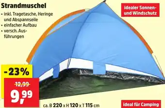 Thomas Philipps Strandmuschel Angebot