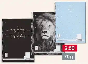 Woolworth Collegeblock Angebot