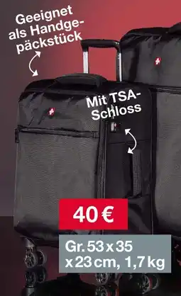 Woolworth CONCEPT Textilkoffer Angebot