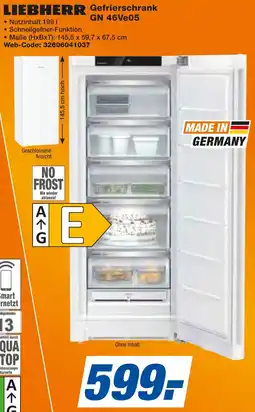 expert Techno Land LIEBHERR Gefrierschrank GN 46Ve05 Angebot