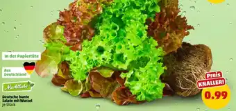 PENNY Deutsche bunte Salate mit Wurzel Angebot