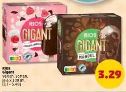 PENNY RIOS Gigant Angebot