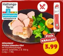 PENNY MÜHLENHOF Frisches Schweine-Filet Angebot