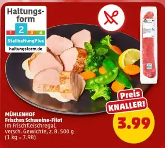 PENNY MÜHLENHOF Frisches Schweine-Filet Angebot