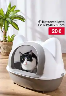 Woolworth Katzentoilette Angebot
