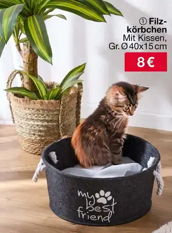 Woolworth Filzkörbchen Angebot