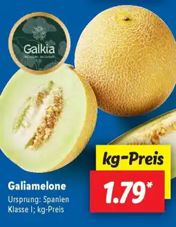 Lidl Galiamelone Angebot