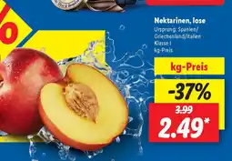 Lidl Nektarinen, lose Angebot