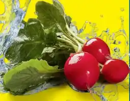 Lidl Radieschen Angebot