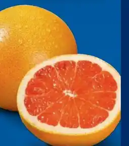 Lidl Grapefruit Angebot