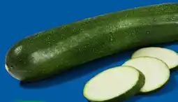 Lidl Zucchini Angebot