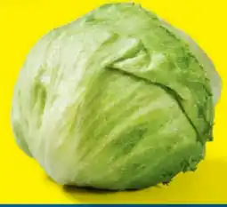 Lidl Eisbergsalat Angebot