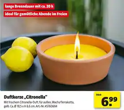 Hagebau Duftkerze „Citronella” Angebot