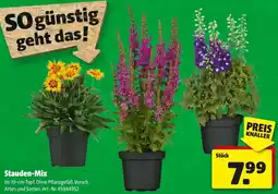Hagebau Stauden-Mix Angebot