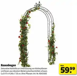 Hagebau Rosenbogen Angebot