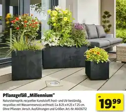 Hagebau Pflanzgefäß ,,Millennium" Angebot
