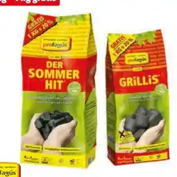 Hagebau proFagus Grillholzkohle Angebot