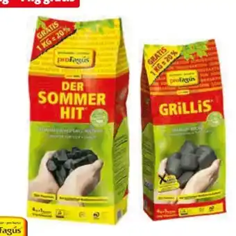 Hagebau proFagus Grillholzkohle Angebot