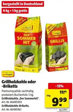 Hagebau ProFagus Grillholzkohle oder Briketts Angebot