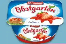 NETTO Ehrmann Obstgarten Erdbeere Angebot