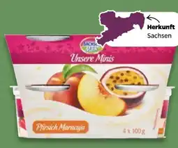 NETTO Sachsenmilch Unsere Minis Fruchtjoghurt Angebot