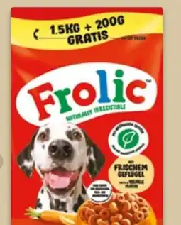NETTO Frolic Hundetrockennahrung Angebot