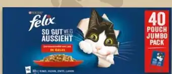 NETTO Purina Felix So gut wie es Aussieht Angebot