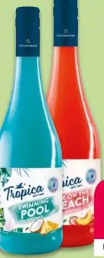 NETTO Katlenburger Tropica Angebot