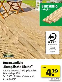 Hagebau Mr. GARDENER Terrassendiele „Europäische Lärche" Angebot