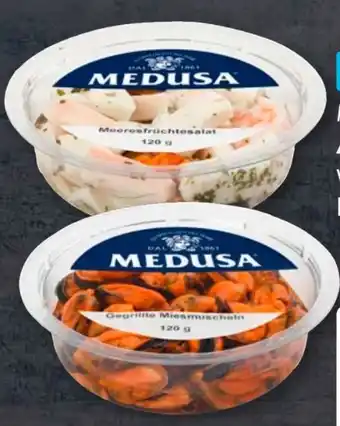 Aldi Süd Medusa Antipasti Angebot