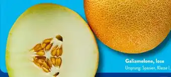 Aldi Süd Galiamelone Angebot