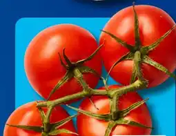 Aldi Süd Rispentomaten Angebot