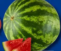 Aldi Süd Wassermelone Angebot