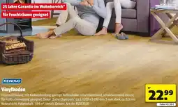 Hagebau RENOVO Vinylboden Angebot