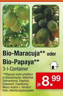 Zimmermann Bio-maracuja Angebot