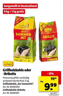 Hagebau Profagus grillholzkohle „der sommerhit“ Angebot