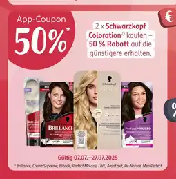 Rossmann Schwarzkopf brillance Angebot