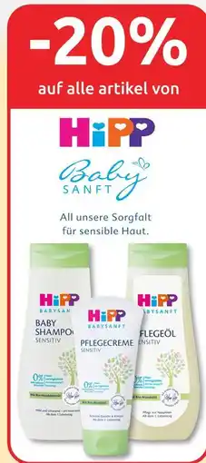 Budni Hipp -20% Angebot