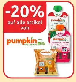 Budni 20% rabatt Angebot