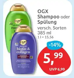Budni Ogx shampoo Angebot