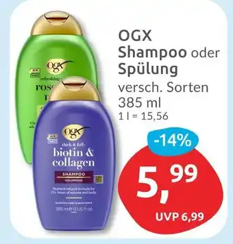 Budni Ogx shampoo Angebot