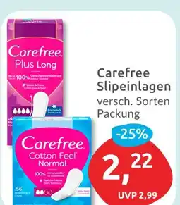 Budni Carefree plus long Angebot
