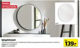 Hagebau Spiegelelement Angebot