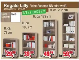 Möbelfundgrube Regale Lilly Angebot